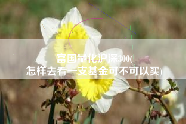 富国量化沪深300(
怎样去看一支基金可不可以买) 富国量化沪深300(
怎样去看一支基金可不可以买)