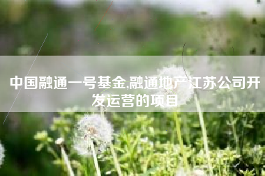 中国融通一号基金,融通地产江苏公司开发运营的项目