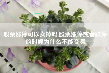 股票涨停可以卖掉吗,股票涨停或者跌停的时候为什么不能交易