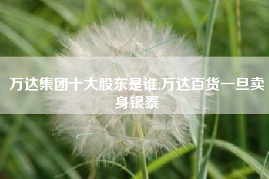 万达集团十大股东是谁,万达百货一旦卖身银泰