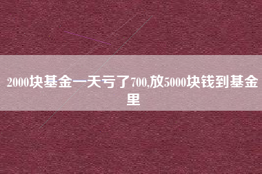 2000块基金一天亏了700,放5000块钱到基金里