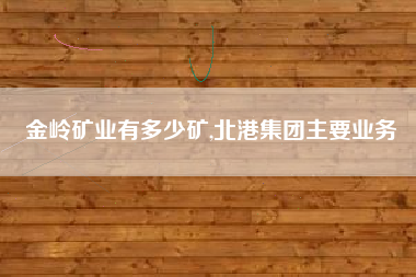 金岭矿业有多少矿,北港集团主要业务