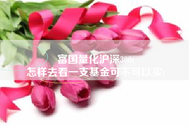 富国量化沪深300(
怎样去看一支基金可不可以买) 富国量化沪深300(
怎样去看一支基金可不可以买)