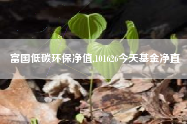 富国低碳环保净值,101626今天基金净直