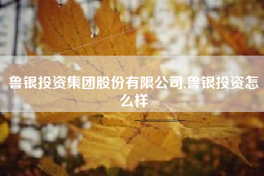 鲁银投资集团股份有限公司,鲁银投资怎么样