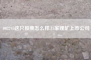 002245这只股票怎么样,15家锂矿上市公司