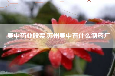 吴中药业股票,苏州吴中有什么制药厂