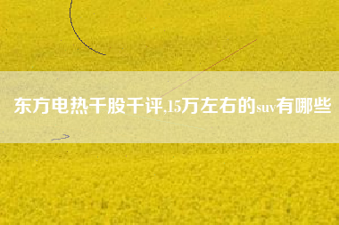 东方电热千股千评,15万左右的suv有哪些