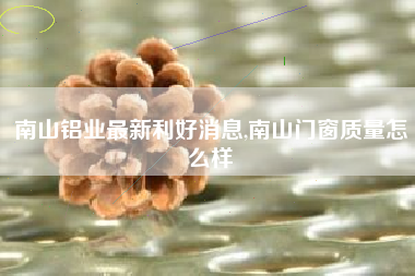 南山铝业最新利好消息,南山门窗质量怎么样