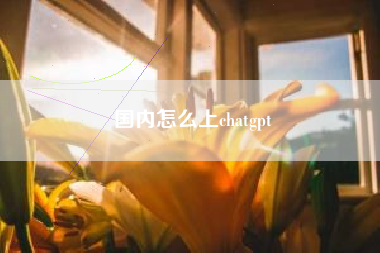 国内怎么上chatgpt