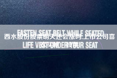 西水股份股票明天还会涨吗,上市公司喜欢买啥​股票​