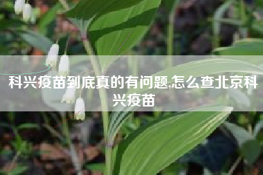 科兴疫苗到底真的有问题,怎么查北京科兴疫苗