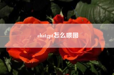 chatgpt怎么喂图