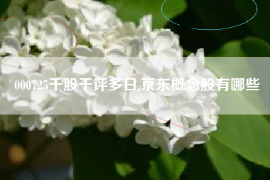 000725千股千评多日,京东概念股有哪些