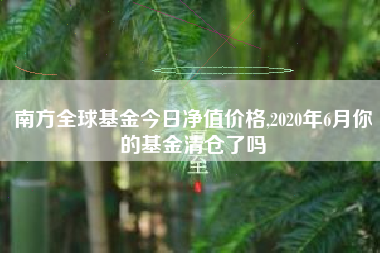 南方全球基金今日净值价格,2020年6月你的基金清仓了吗