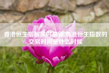 香港恒生指数实时最新,香港恒生指数的交易时间是什么时候