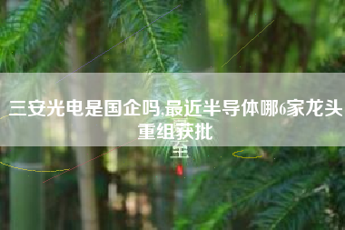 三安光电是国企吗,最近半导体哪6家龙头重组获批