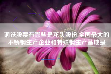 钢铁股票有哪些是龙头股份,全国最大的不锈钢生产企业和特殊钢生产基地是