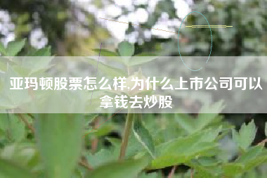 亚玛顿股票怎么样,为什么上市公司可以拿钱去炒股