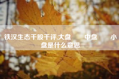 铁汉生态千股千评,大盘　　中盘　　小盘是什么意思