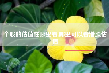个股的估值在哪里看,哪里可以看港股估值
