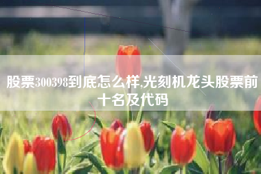 股票300398到底怎么样,光刻机龙头股票前十名及代码