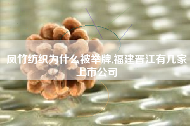 凤竹纺织为什么被举牌,福建晋江有几家上市公司