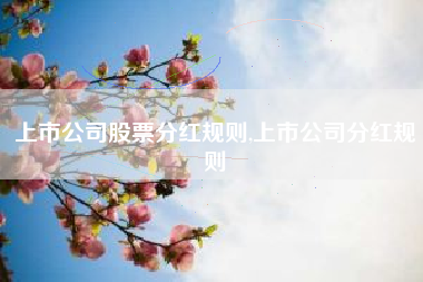 上市公司股票分红规则,上市公司分红规则