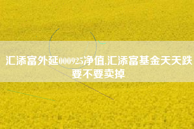 汇添富外延000925净值,汇添富基金天天跌要不要卖掉