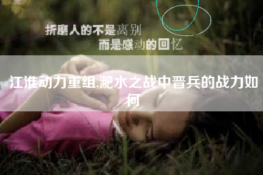江淮动力重组,淝水之战中晋兵的战力如何
