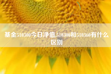 基金510300今日净值,510300和510360有什么区别