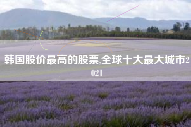 韩国股价最高的股票,全球十大最大城市2021