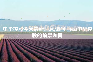 申华控股今天最新消息,请问600653申华控股的前景如何
