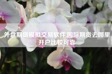 外盘期货模拟交易软件,国际期货去哪里开户比较可靠
