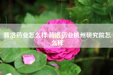 普洛药业怎么样,普洛药业杭州研究院怎么样