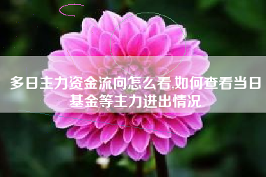 多日主力资金流向怎么看,如何查看当日基金等主力进出情况