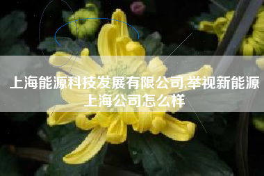 上海能源科技发展有限公司,举视新能源上海公司怎么样