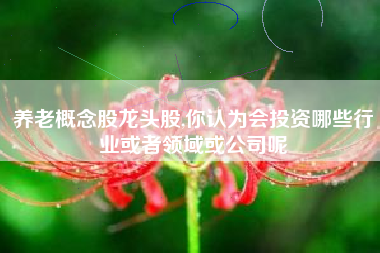 养老概念股龙头股,你认为会投资哪些行业或者领域或公司呢