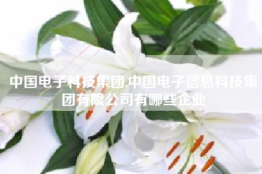 中国电子科技集团,中国电子信息科技集团有限公司有哪些企业