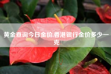 黄金查询今日金价,香港银行金价多少一克
