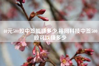 40元500股中签能赚多少,裕同科技中签500股可以赚多少