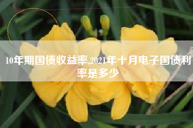 10年期国债收益率,2021年十月电子国债利率是多少