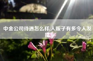 中金公司待遇怎么样,人贩子有多令人发指
