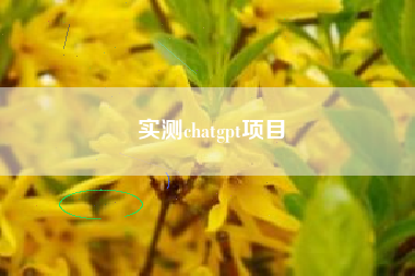 实测chatgpt项目
