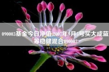 090003基金今日净值,2007年9月5号买大成蓝筹稳健混合090003