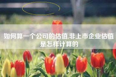 如何算一个公司的估值,非上市企业估值是怎样计算的