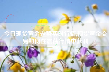 今日现货黄金走势实时行情,现货黄金交易如何在震荡行情中获利