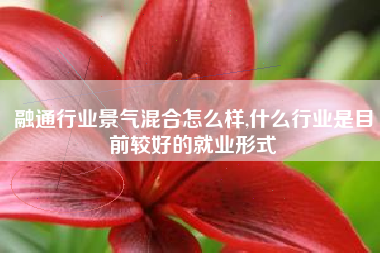 融通行业景气混合怎么样,什么行业是目前较好的就业形式