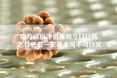 南方成份净值查询今日行情,
怎样去看一支基金可不可以买 南方成份净值查询今日行情,
怎样去看一支基金可不可以买