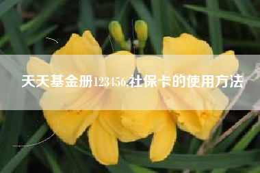 天天基金册123456,社保卡的使用方法